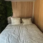 Containers Amenage Au Coeur Des Chants Des Grenouilles Luxussátor