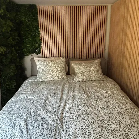 Containers Amenage Au Coeur Des Chants Des Grenouilles Οργανωμένο κάμπινγκ