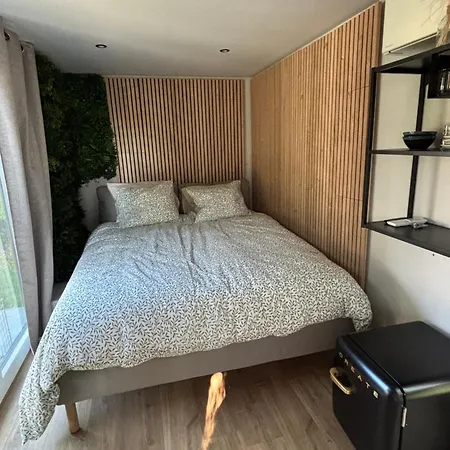 Containers Amenage Au Coeur Des Chants Des Grenouilles Luxussátor Hotton